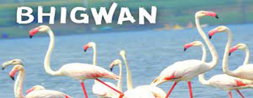 Bhigwan Bird Sanctuary 2023